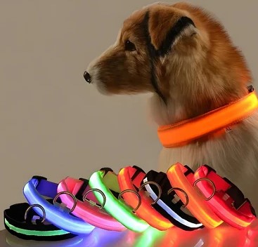 Collier à LED pour chien