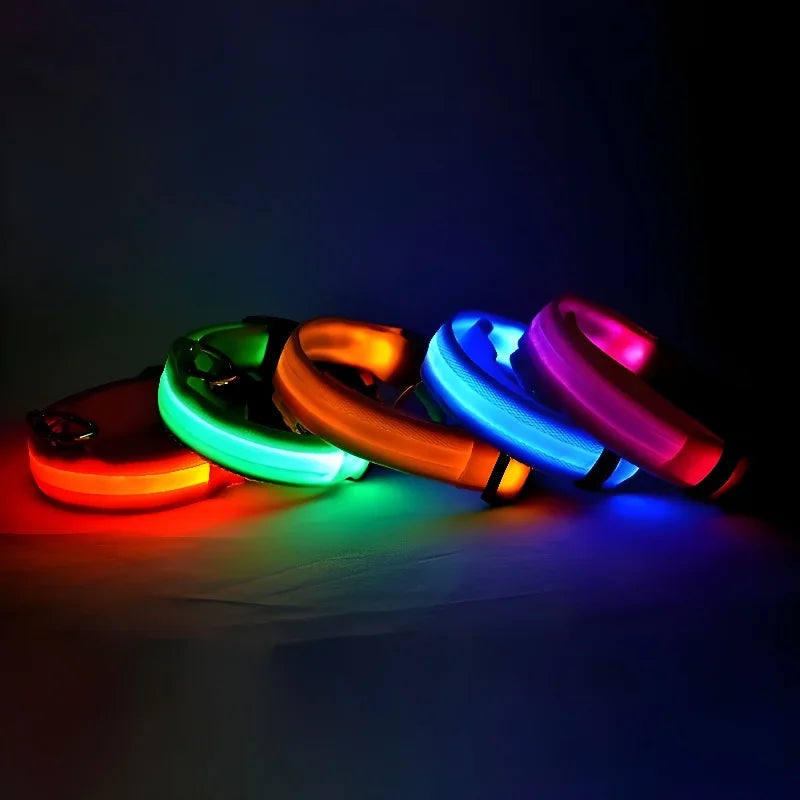 Collier à LED pour chien